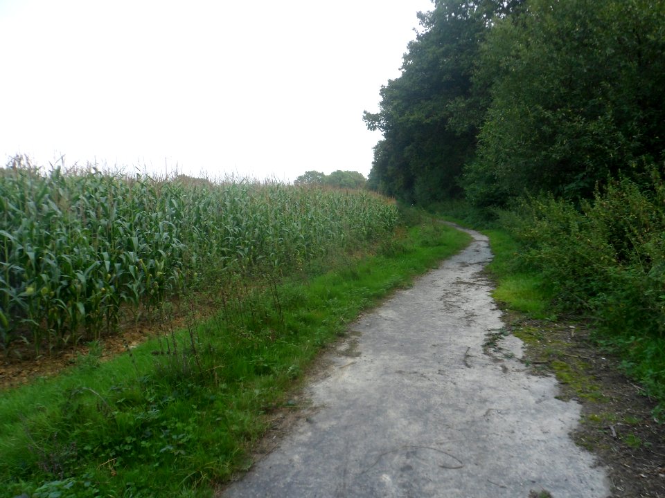 Forge Wood Neighbourhood, Crawley - Development in September 2014 (39)