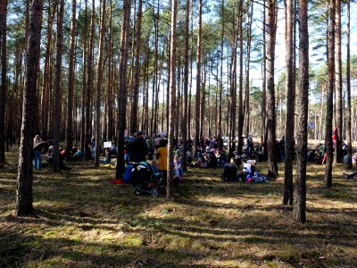 Forest walk at Jänschwalde open-pit mine 60