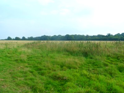 Forge Wood Neighbourhood, Crawley - Development in September 2014 (48)