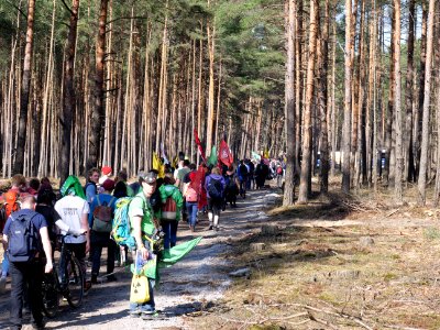 Forest walk at Jänschwalde open-pit mine 56