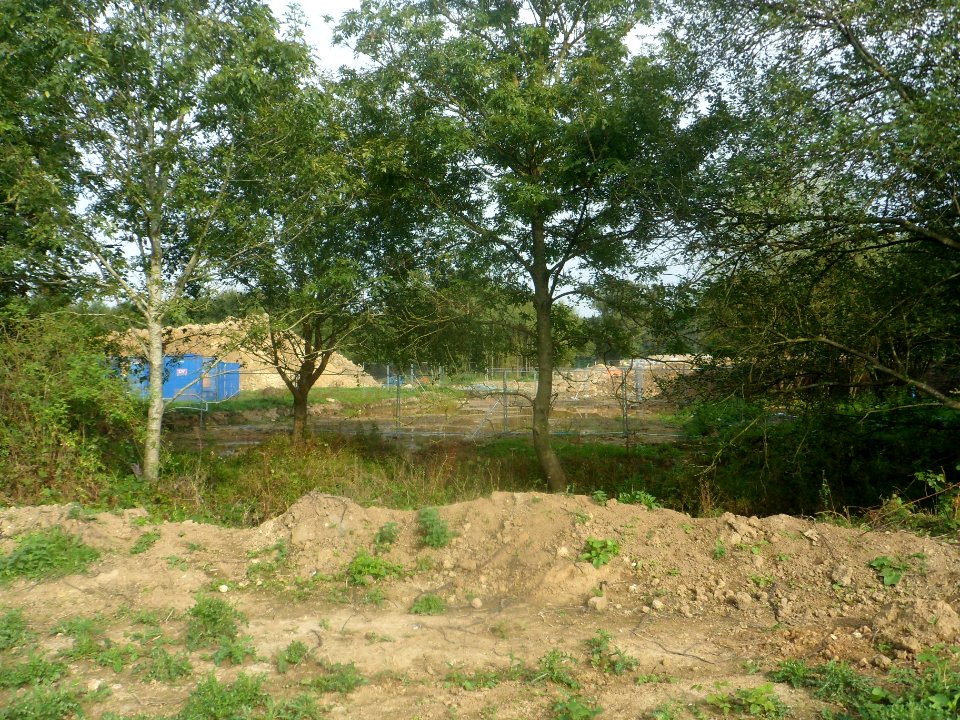 Forge Wood Neighbourhood, Crawley - Development in September 2014 (11)
