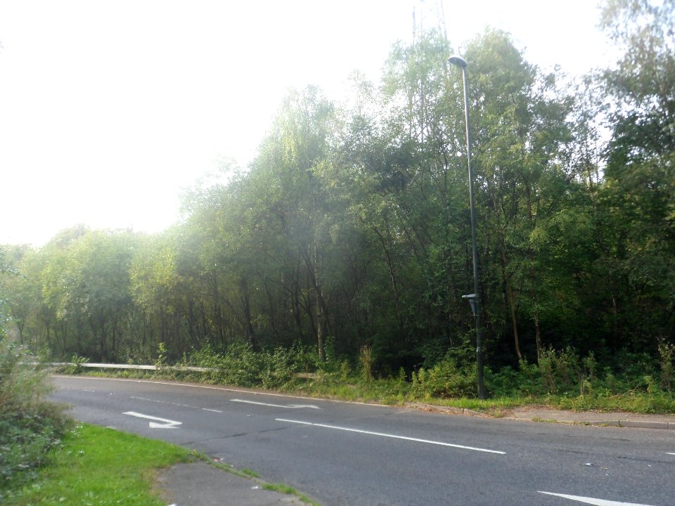 Forge Wood Neighbourhood, Crawley - Development in September 2014 (49)