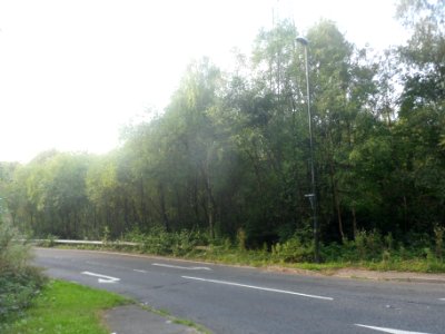 Forge Wood Neighbourhood, Crawley - Development in September 2014 (49)