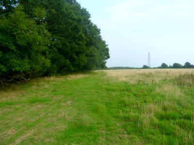 Forge Wood Neighbourhood, Crawley - Development in September 2014 (47)