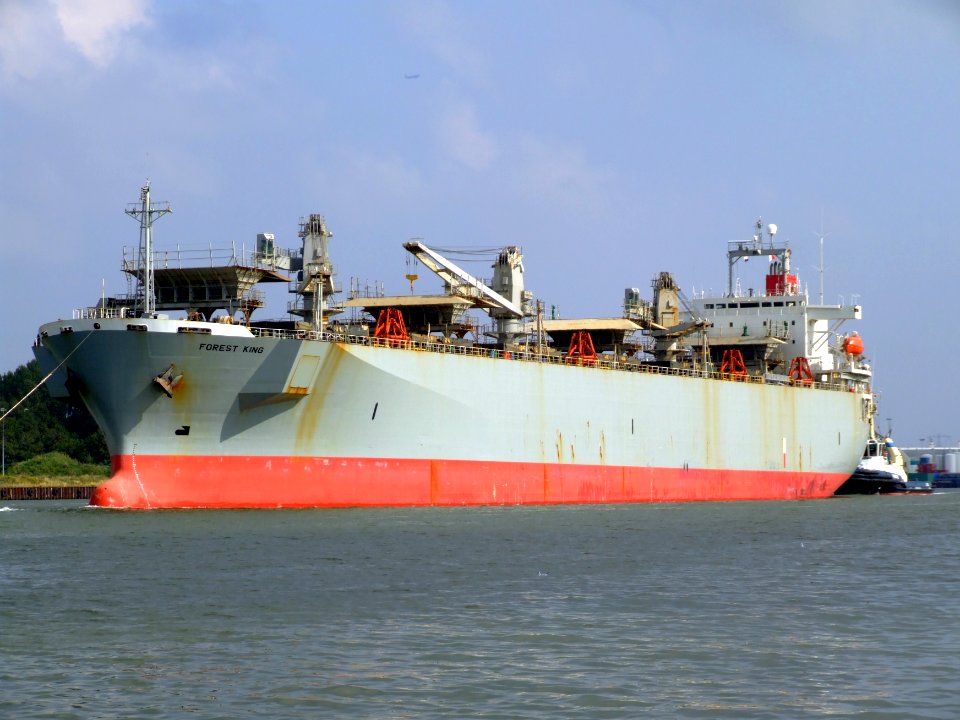 Forest King IMO 9002544 at the Northsea channel, Holland at Port of Amsterdam, Holland 28-Sep-2008 photo-3