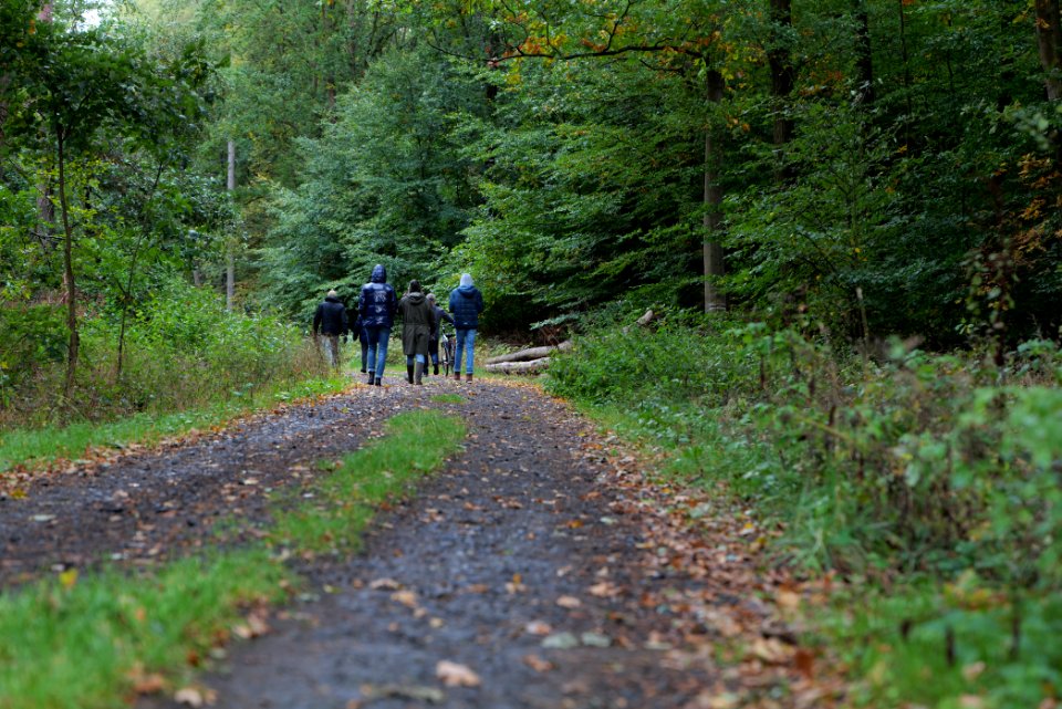 Forest walk at Herrenwald Stadtallendorf 2020-10-07 02