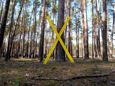 Forest walk at Jänschwalde open-pit mine 61