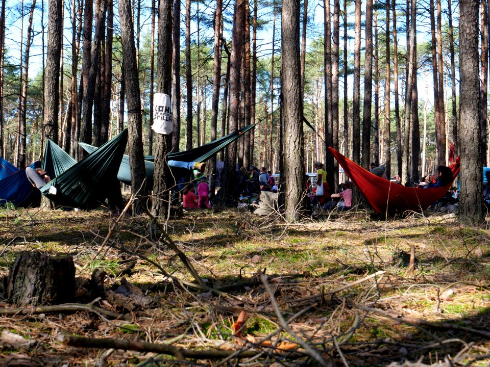 Forest walk at Jänschwalde open-pit mine 68