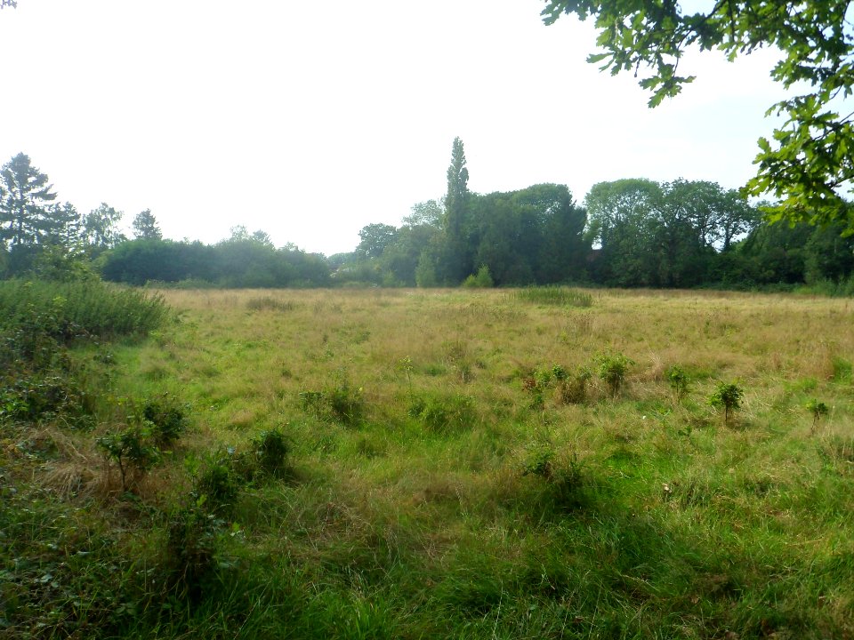 Forge Wood Neighbourhood, Crawley - Development in September 2014 (4)