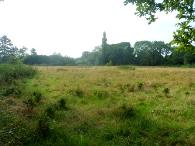 Forge Wood Neighbourhood, Crawley - Development in September 2014 (4)