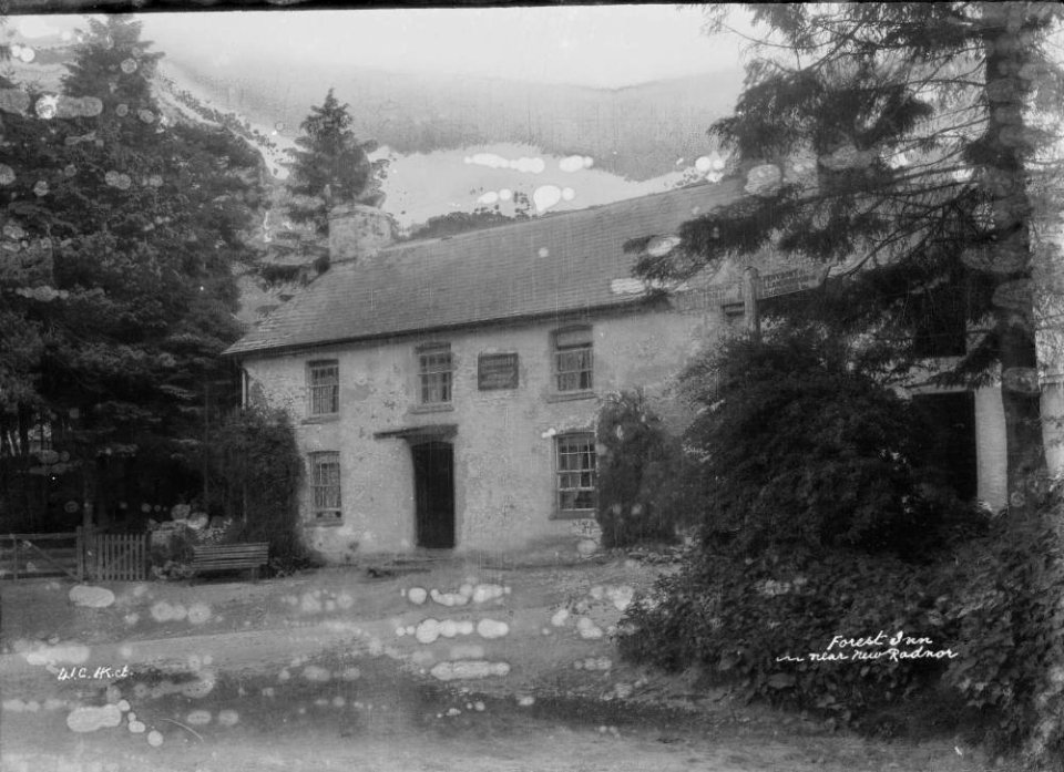 Forest Inn near New Radnor (1294042)