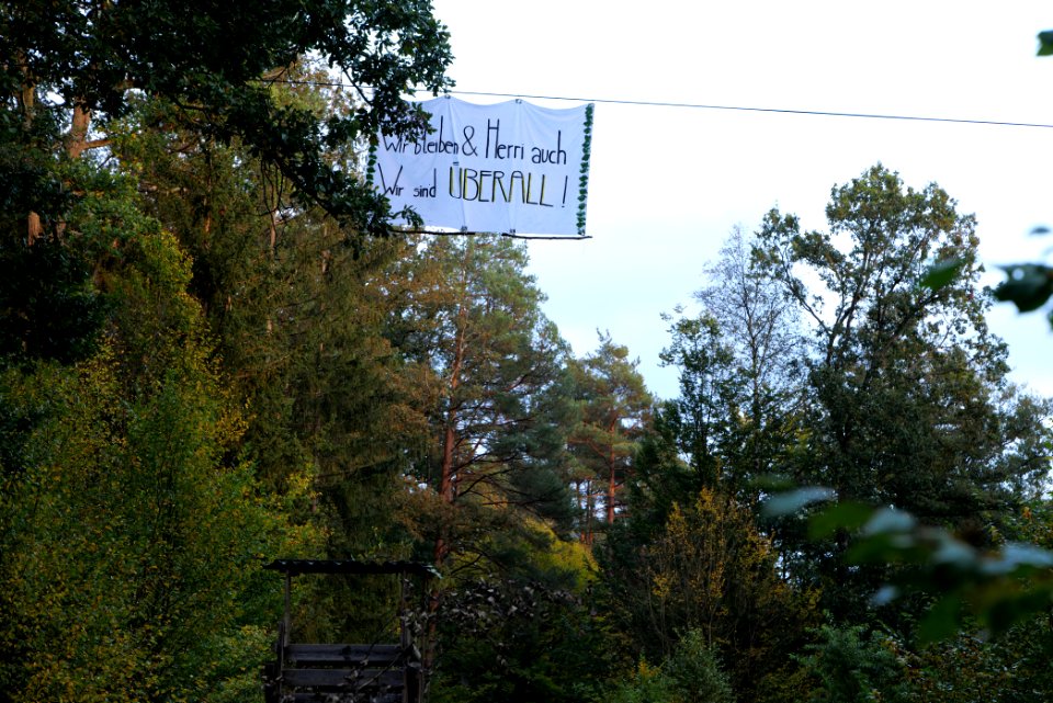 Forest walk at Herrenwald Stadtallendorf 2020-10-07 13
