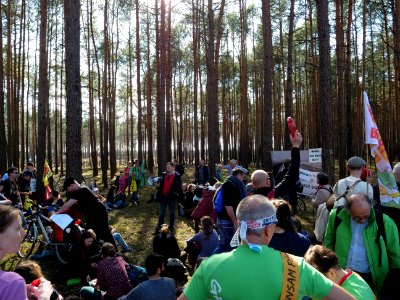 Forest walk at Jänschwalde open-pit mine 58