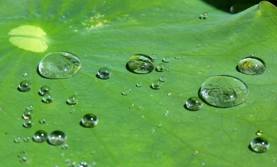 Structure raindrop transparent