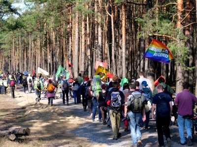 Forest walk at Jänschwalde open-pit mine 55