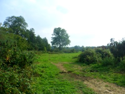Forge Wood Neighbourhood, Crawley - Development in September 2014 (9)