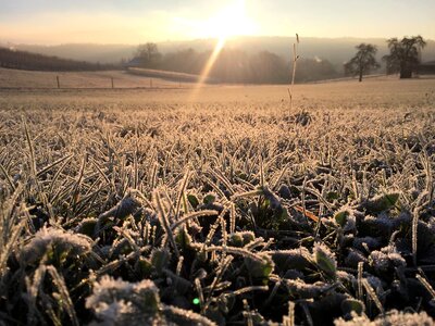 Landscape winter frozen photo