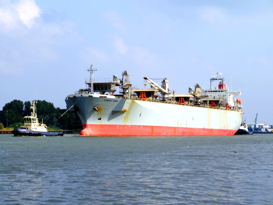 Forest King IMO 9002544 at the Northsea channel, Holland at Port of Amsterdam, Holland 28-Sep-2008 photo-2