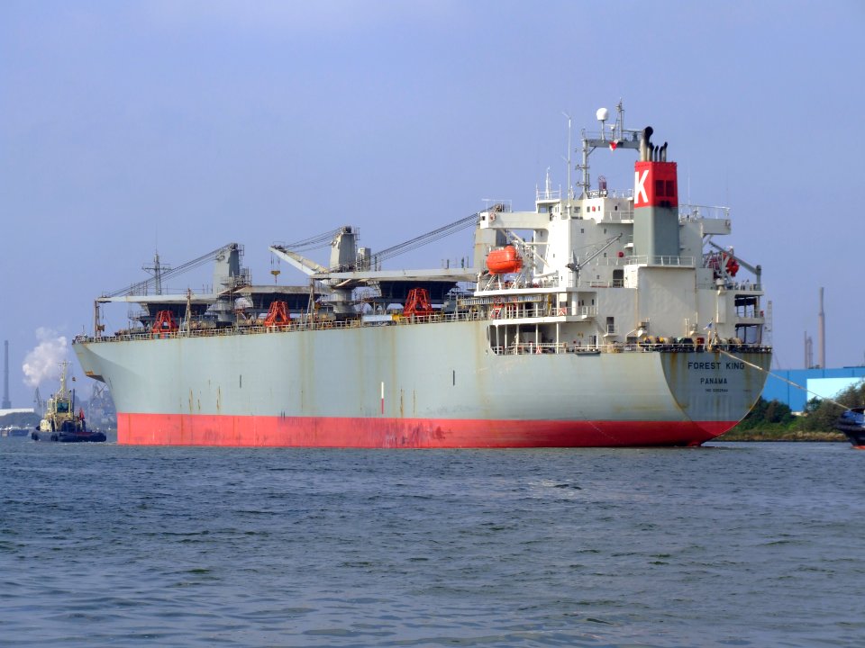Forest King IMO 9002544 at the Northsea channel, Holland at Port of Amsterdam, Holland 28-Sep-2008 photo-7