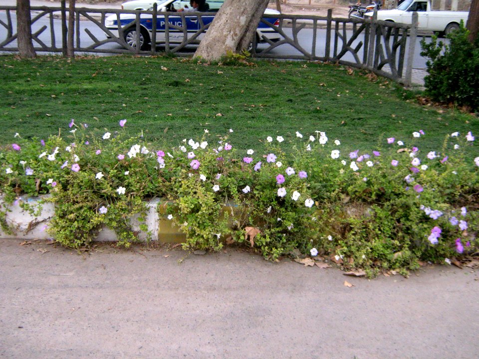 Forniture - Barrier of Jomhuri blv - Nishapur 4