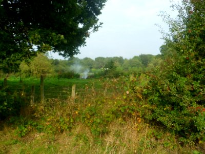 Forge Wood Neighbourhood, Crawley - Development in September 2014 (3)
