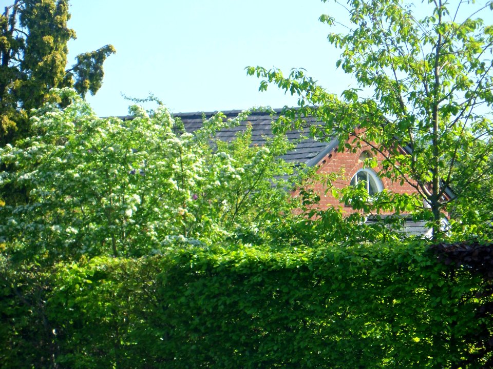 Former Baptist Chapel, East side of Cranleigh Common, Cranleigh (May 2014)