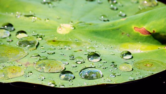 Raindrop transparent beaded