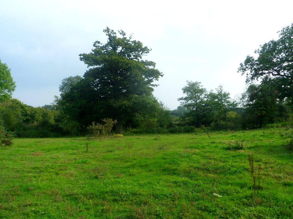 Forge Wood Neighbourhood, Crawley - Development in September 2014 (6)
