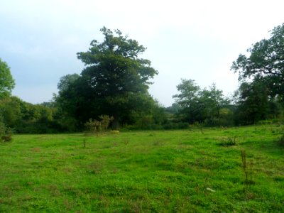 Forge Wood Neighbourhood, Crawley - Development in September 2014 (6)