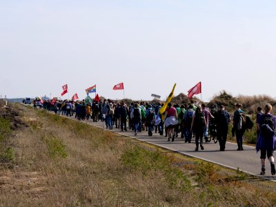 Forest walk at Jänschwalde open-pit mine 30