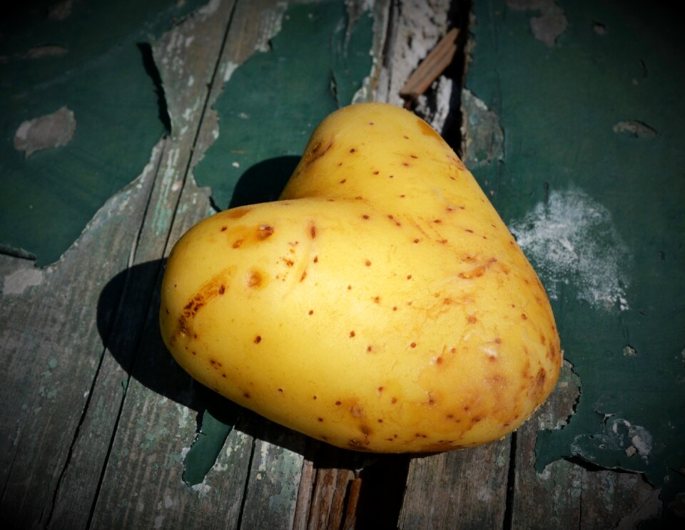 I like you i like having you valentine's day