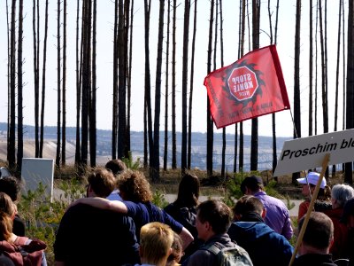 Forest walk at Jänschwalde open-pit mine 19