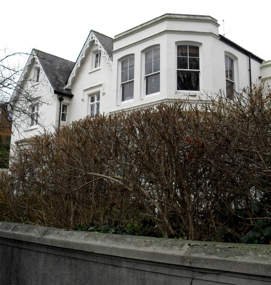 Former Brighton and Hove Home for Queen's Nurses, Wellington Road, Brighton (January 2011)
