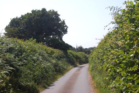 Former Mission Church, Kitt's Lane, West Meon Woodlands (July 2019) (1)