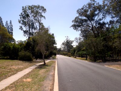 Forestdale Drive Forestdale