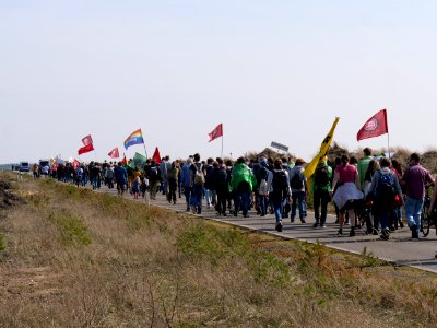 Forest walk at Jänschwalde open-pit mine 29
