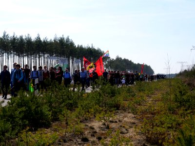 Forest walk at Jänschwalde open-pit mine 23