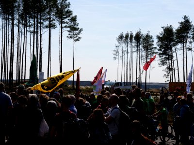 Forest walk at Jänschwalde open-pit mine 21