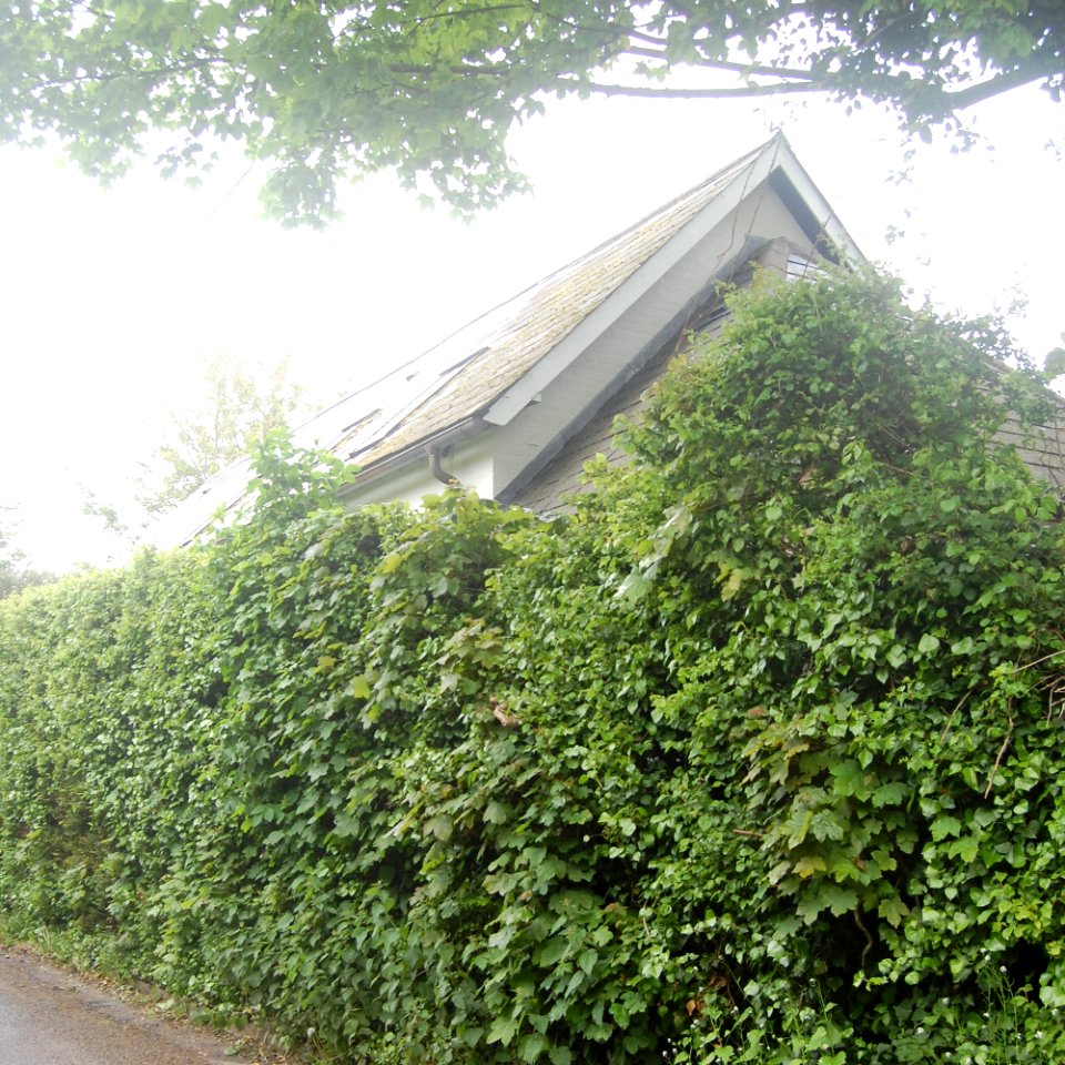 Former Methodist Chapel, Woodman Lane, Sparsholt (May 2021) (1)