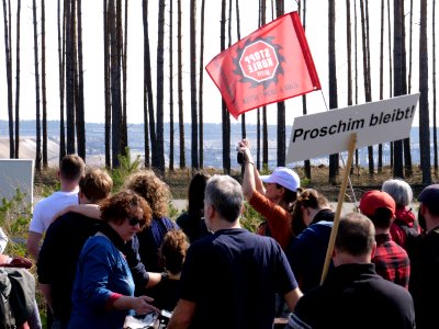 Forest walk at Jänschwalde open-pit mine 20