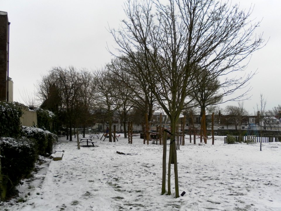 Former Graveyard at St Nicholas' Church, Dyke Road, Brighton (January 2013) (3)
