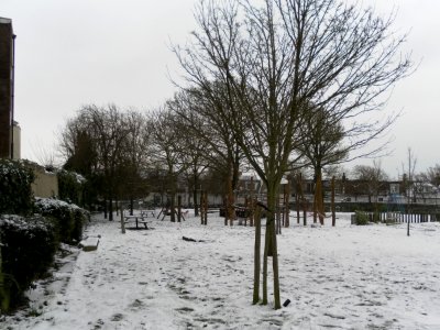Former Graveyard at St Nicholas' Church, Dyke Road, Brighton (January 2013) (3)