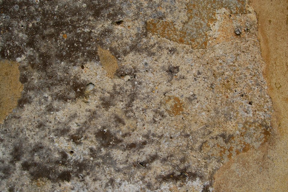 Former St Peter ad Vincula Church, Colemore (NHLE Code 1237037) (May 2021) (Stonework) (1)