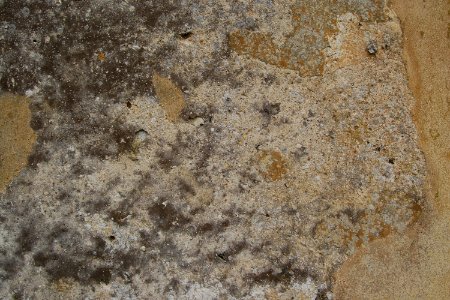 Former St Peter ad Vincula Church, Colemore (NHLE Code 1237037) (May 2021) (Stonework) (1)