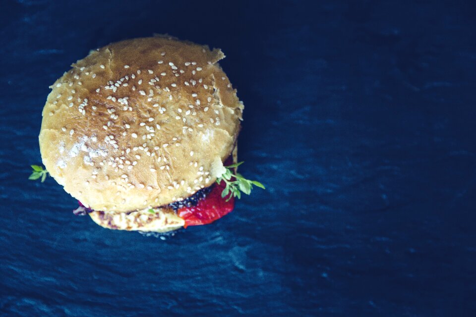 Tasty delicious junk food