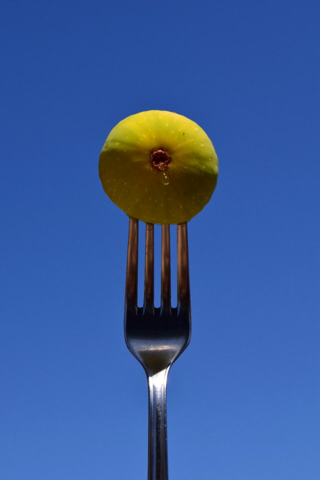 Close up metal fork cutlery