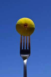 Close up metal fork cutlery photo