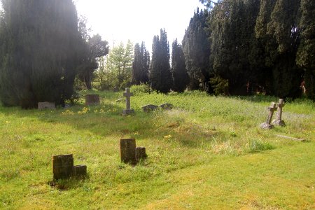 Former St Nicholas' Church, Kingsley (NHLE Code 1157331) (May 2021) (Churchyard) (2)
