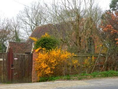 Former St John's Chapel, Maynard's Green (March 2011) (3)