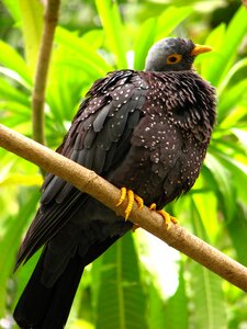 Zoo nature cute
